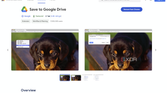 The Save to Google Drive main page