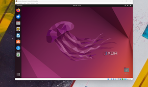 Ubuntu running in a VirtualBox machine on WIndows 11