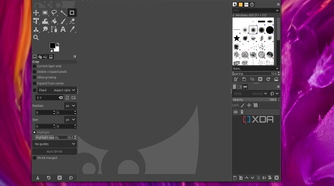 GIMP running with a blank canvas on Ubuntu