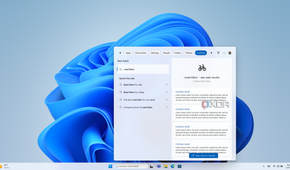 Mockup of Windows Search showing search results provided by a third-party app