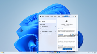 Mockup of Windows Search showing search results provided by a third-party app