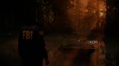 A screenshto showing sunrays peeking through tress in a forest in Alan Wake 2.