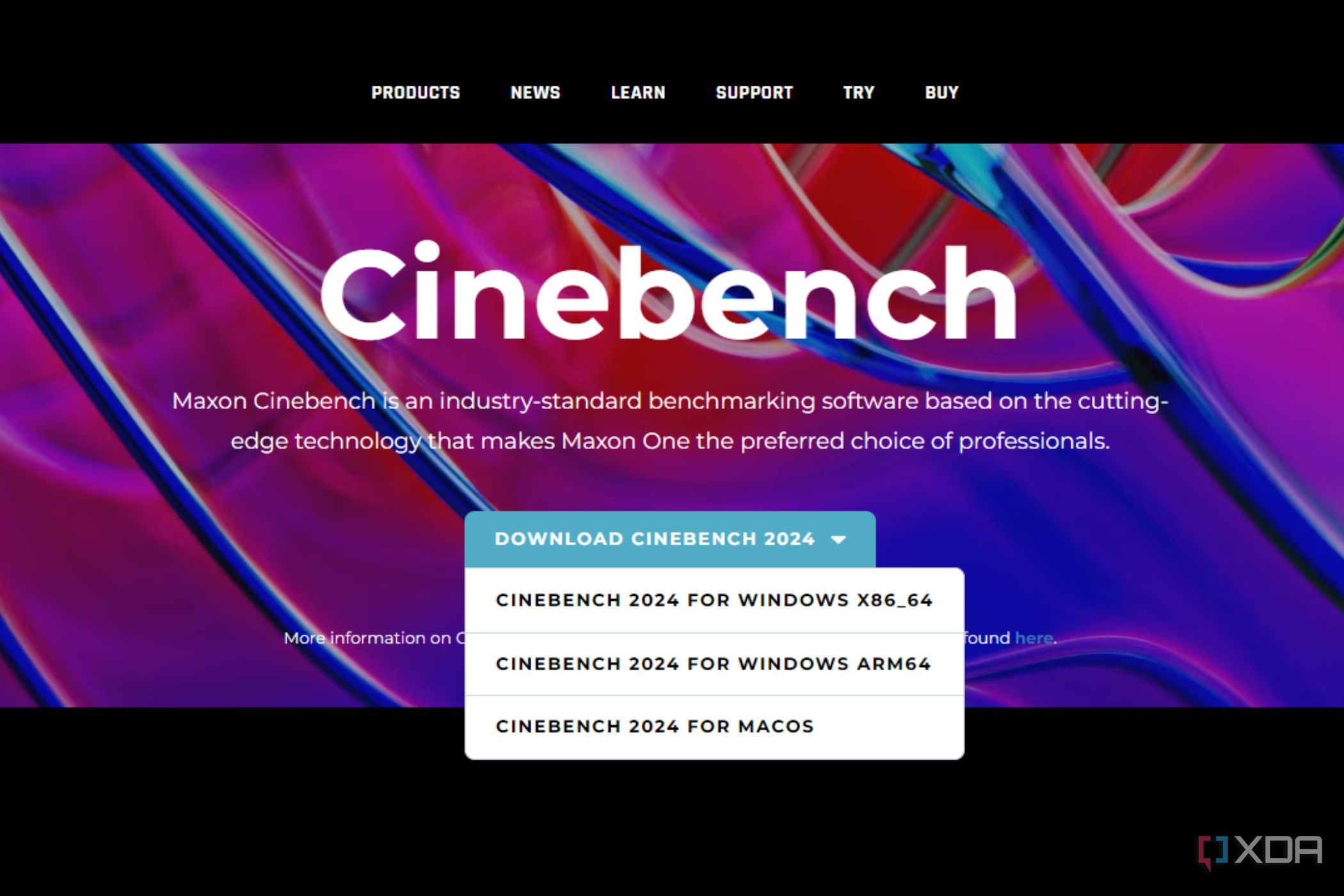 A screenshot showing the Cinebench 2024 download options in a drop-down menu on Maxon's website.