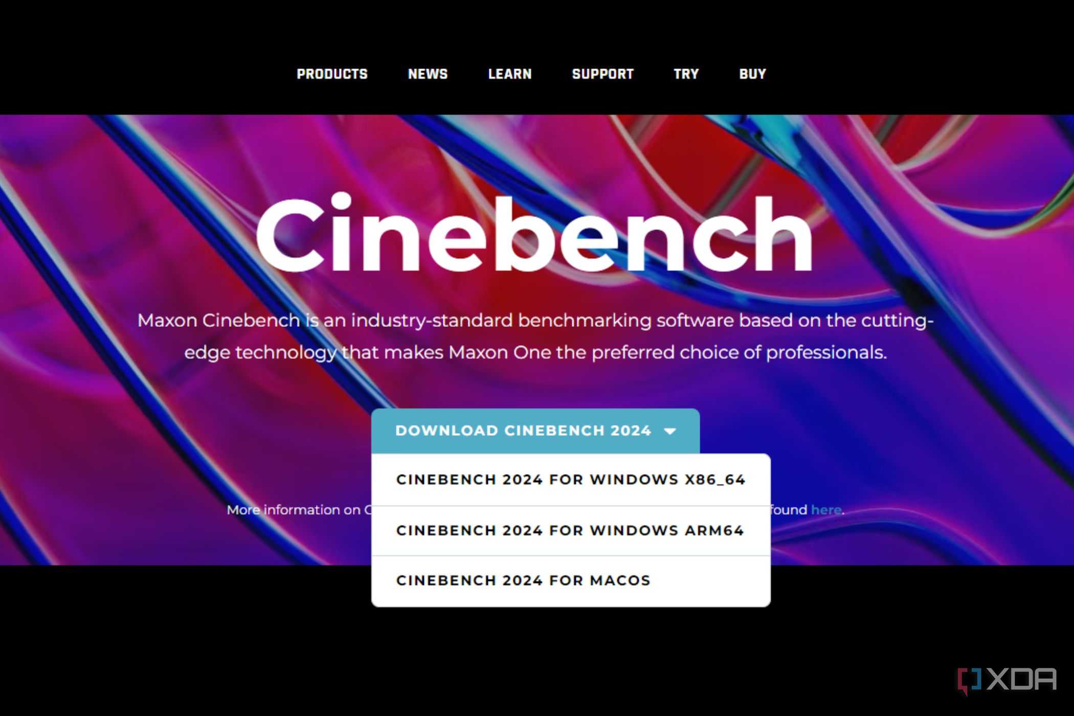 A screenshot showing the Cinebench 2024 download options in a drop-down menu on Maxon's website.