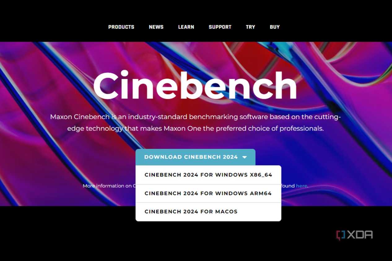 A screenshot showing the Cinebench 2024 download options in a drop-down menu on Maxon's website.