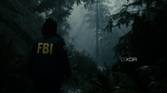 A screenshot showing "god rays" peeking through the trees in Alan Wake 2.