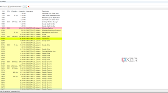 Process Hacker listing programs running on a Windows machine