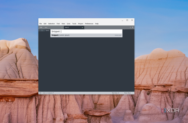 A screenshot of the Snippet feature open in the Sublime text editor in ChromeOS with empty text and a blank page