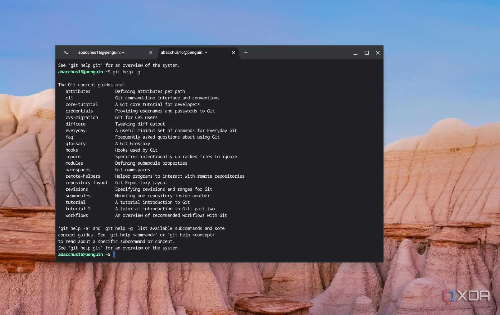 A screenshot of the about page for Git on ChromeOS showing some sample commands