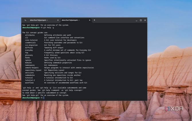 A screenshot of the about page for Git on ChromeOS showing some sample commands