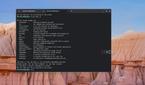 A screenshot of the about page for Git on ChromeOS showing some sample commands
