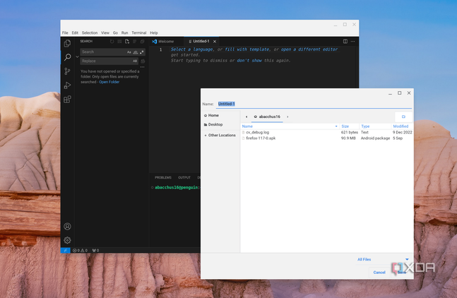A screenshot Visual Studio code open on ChromeOS showing a sample project open, with untitled text, the terminal, and the search bar