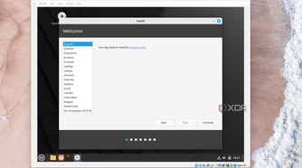 A screenshot of the proccess of choosing a languagge in the Linux Mint installer