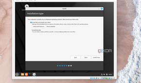 A screenshot of how to install Linux Mint in VirtualBox, with the option to erase the disk
