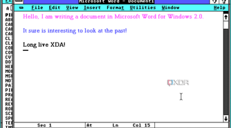 Screenshot of Microsoft Word in Windows 2.0