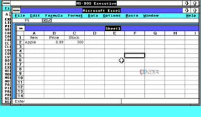 Screenshot of Microsoft Excel in Windows 2.0