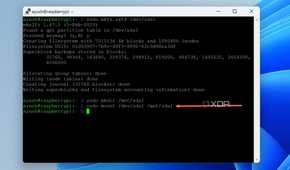 A screenshot of PuTTY with the mount command highlighted