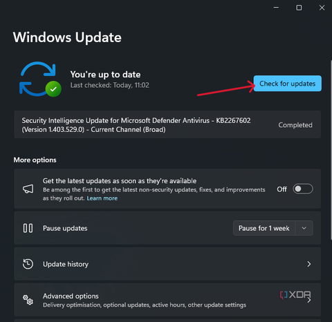 The Windows Update menu in Windows 11 showing the Check for updates button.