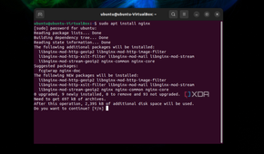 A screenshot of the command to sudo apt install nginx on Ubuntu