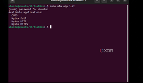 A screenshot of the command for the apps using the Ubuntu firewall as seen in the Ubuntu terminal