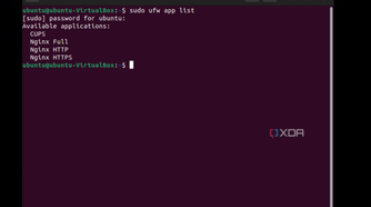 A screenshot of the command for the apps using the Ubuntu firewall as seen in the Ubuntu terminal
