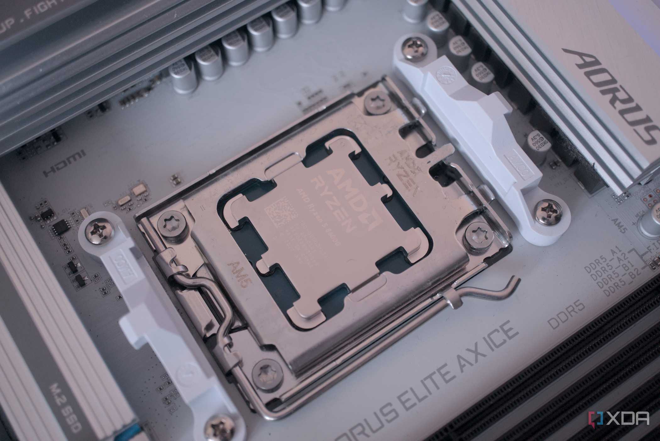 AMD Ryzen 5 8600G installed