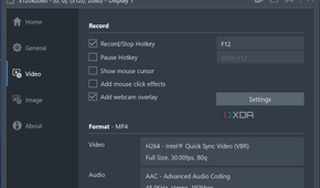 Screenshot of the video recording settings in game recording mode
