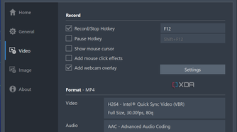 Screenshot of the video recording settings in game recording mode