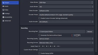 Screenshot of output settings in OBS Studio