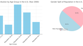 Population age group bar chart and Gender Pie chart, taken from the US census and generated with ChatGPT