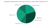 Population distribution combined pie chart, taken from the US census and generated with ChatGPT