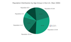 Population distribution by age group, taken from the US census and generated with ChatGPT