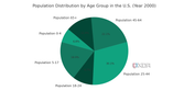 Population distribution by age group, taken from the US census and generated with ChatGPT