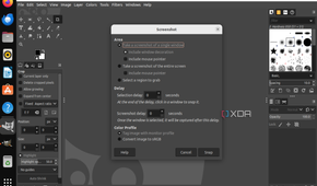 A screenshot of the screenshot options in GIMP inculding a timed delay