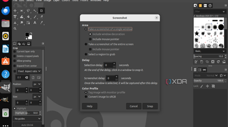 A screenshot of the screenshot options in GIMP inculding a timed delay