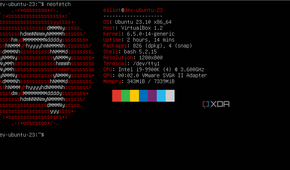 A screenshot of NeoFetch running on Ubuntu Server.