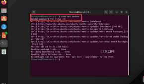 A screenshot showing Terminal Window on Linux with the sudo apt update command running.