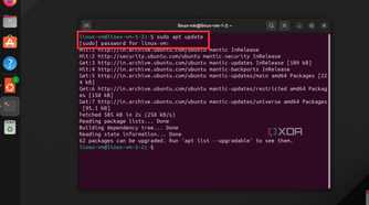A screenshot showing Terminal Window on Linux with the sudo apt update command running.