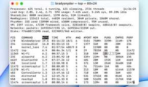 The top command in the macOS terminal.