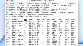 The top command in the macOS terminal.
