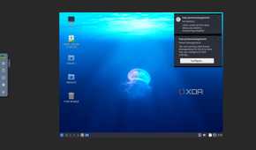 A screenshot of Lubuntu running on TrueNAS SCALE