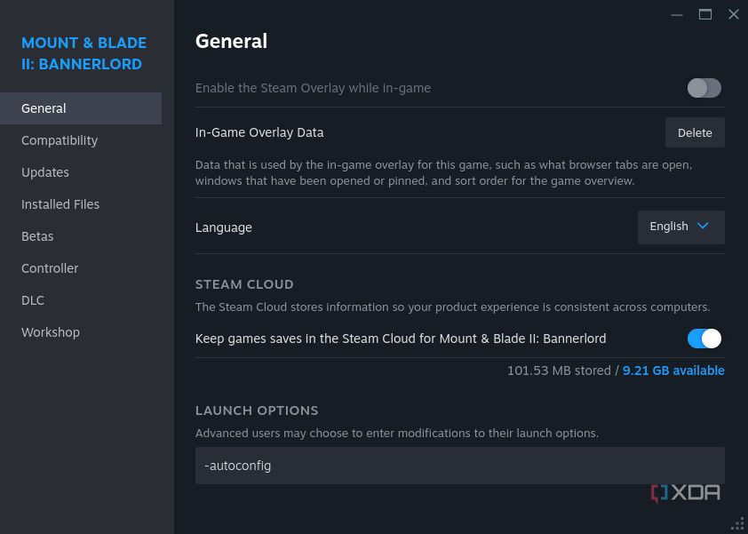 Setting launch parameters in Steam