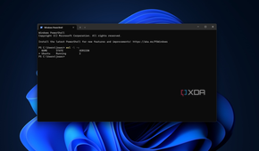 Screenshot of Windows Terminal displaying a list of installed Linux distros