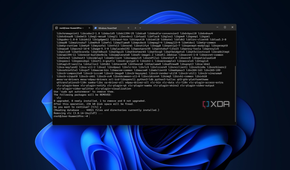 Screenshot of Windows Subsystem for Linux in Windows 11