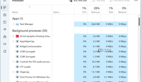 Screenshot of the processes list in Task Manager in Windows 11
