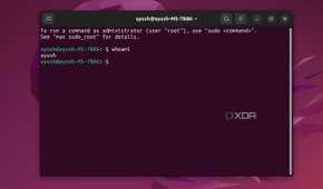 An Ubuntu Terminal displaying the whoami command