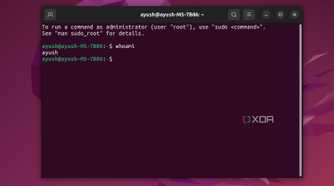 An Ubuntu Terminal displaying the whoami command