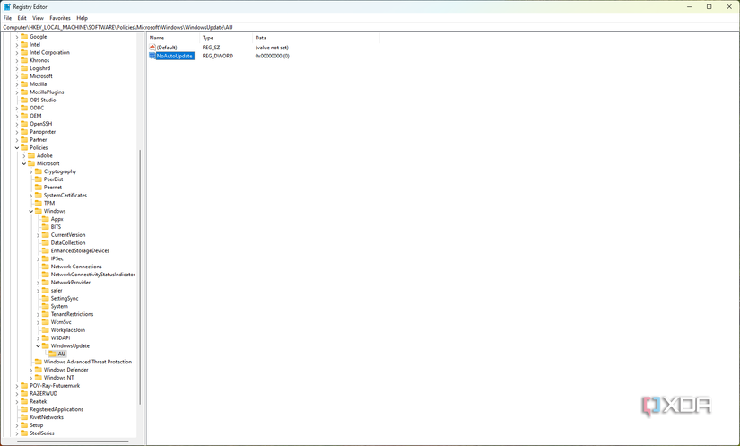 Screenshot of egistry Editor with a No Auto Update key on the main view