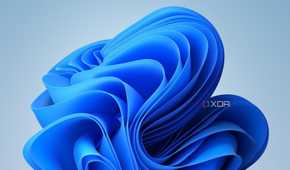 A screenshot showing the Windows 11 wallpaper.