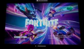 The Fortnite loading screen.